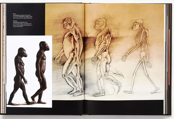 Бумажная книга «Lost Anatomies: The Evolution of the Human Form», автор Джон Гурче - фото №6 - миниатюра
