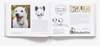 Бумажная книга «The Art of Nothing: 25 Years of Mutts and the Art of Patrick McDonnell», автор Патрик Макдоннелл - фото №5 - миниатюра