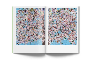 Бумажная книга «Cerisiers En Fleurs», автор Дэмьен Херст - фото №4 - миниатюра