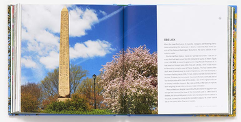 Бумажная книга «Seeing Central Park. The Official Guide Updated and Expanded», автор Сара Миллер - фото №6 - миниатюра