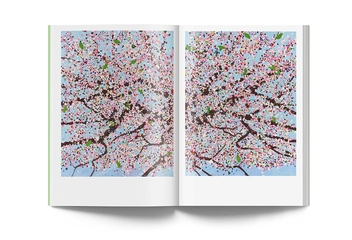 Бумажная книга «Cerisiers En Fleurs», автор Дэмьен Херст - фото №5 - миниатюра