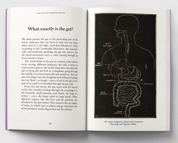 Бумажная книга «The Gut: A Pocket Primer», автор Эми Флеминг - фото №6 - миниатюра