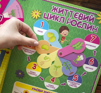 Бумажная книга «Міні-лепбук. Рослини» - фото №8 - миниатюра