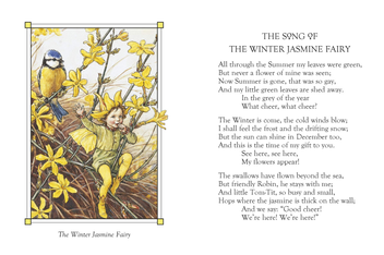 Бумажная книга «Flower Fairies of the Winter», автор Сесиль Мэри Баркер - фото №4 - миниатюра