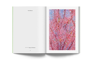 Бумажная книга «Cerisiers En Fleurs», автор Дэмьен Херст - фото №7 - миниатюра