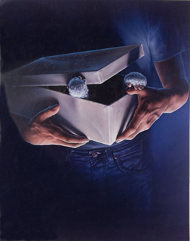 Бумажная книга «The Art of John Alvin», автор Андреа Элвин - фото №9 - миниатюра