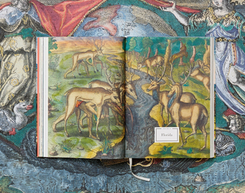 Бумажная книга «Theodor de Bry. America», авторов Мишель ван Гросен, Ларри Тизе - фото №9 - миниатюра