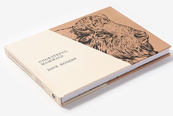 Бумажная книга «Ungrateful Mammals», автор Дейв Эггерс - фото №11 - миниатюра