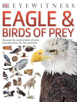 Бумажная книга «Eagle & Birds of Prey» - фото №1 - миниатюра