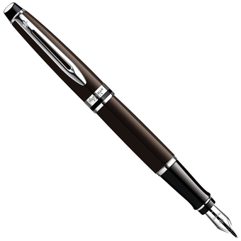  «Перьевая ручка Waterman Expert Deep Brown CT (10 040)», бренда Waterman - фото №1 - миниатюра