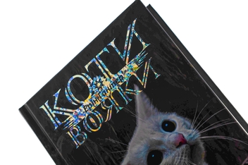 Бумажная книга «Коти-вояки. Знамення Зореклану. Книга 4. Знак місяця», автор Эрин Хантер - фото №4 - миниатюра