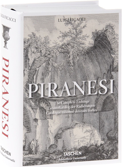 Бумажная книга «Piranesi», автор Луиджи Фикаччи - фото №1 - миниатюра