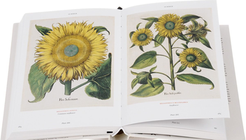 Бумажная книга «Basilius Besler's Florilegium. The Book of Plants» - фото №2 - миниатюра