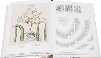 Бумажная книга «Basilius Besler's Florilegium. The Book of Plants» - фото №3 - миниатюра