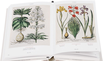 Бумажная книга «Basilius Besler's Florilegium. The Book of Plants» - фото №4 - миниатюра