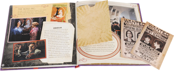 Паперова книга «J.K. Rowling's Wizarding World. The Dark Arts. A Movie Scrapbook», автор Брати Ворнер - фото №7 - мініатюра