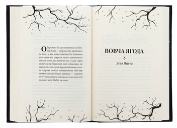 Паперова книга «Час тіней», авторів Олена Кузьміна, Ірина Грабовська, Анастасія Нікуліна, Леся Яцута - фото №6 - мініатюра