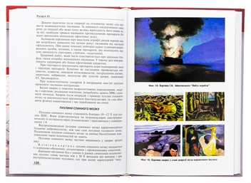 Бумажная книга «Неврологія. Підручник», авторов М. Карелина, Н. Касевич - фото №6 - миниатюра