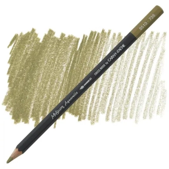  «Карандаш Caran d'Ache Museum Aquarelle Brown Olive 50% (3510.736)», бренда Caran d'Ache - фото №1 - миниатюра