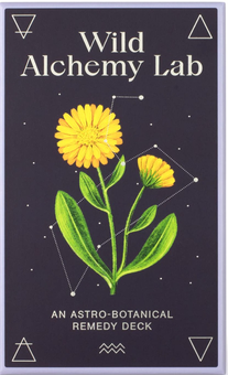 Паперова книга «Wild Alchemy Lab. An Astro-botanical Remedy Deck», автор Джемма Фостер - фото №1 - мініатюра