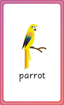 Бумажная книга «English for Everyone Junior: First Words Animals Flash Cards» - фото №9 - миниатюра