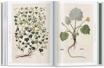 Paper book «Leonhart Fuchs: The New Herbal», author Werner Dressendörfer - фото №11 - миниатюра