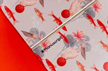 «Скетчбук Plastilina 2019 Plus (pl-2019-plus)», бренда Manuscript - фото №7 - миниатюра