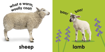 Бумажная книга «Baby Touch and Feel Farm Animals» - фото №2 - миниатюра