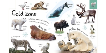 Бумажная книга «My First Zoo: Let's Meet the Animals!» - фото №3 - миниатюра