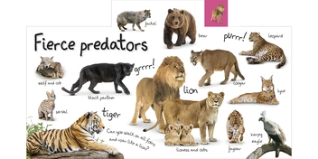 Бумажная книга «My First Zoo: Let's Meet the Animals!» - фото №2 - миниатюра
