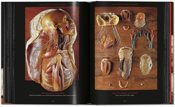 Бумажная книга «Anatomical Waxes», автор Марта Поггеси - фото №12 - миниатюра