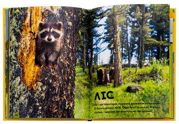 Бумажная книга «National Geographic. Моя перша енциклопедія. Тварини», авторов Кэтрин Д. Хьюз, Кэтрин Д. Хесс - фото №6 - миниатюра