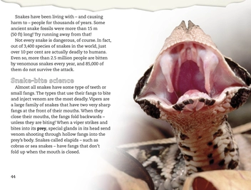 Бумажная книга «DK Reader Spiders and Other Deadly Animals», автор Джин Баклин - фото №3 - миниатюра