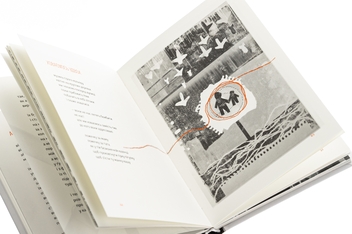 Паперова книга «Абрикоси Донбасу», автор Любов Якимчук - фото №4 - мініатюра