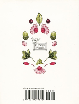 Паперова книга «Flower Fairies (комплект із 5 книг)», автор Сесіль Мері Баркер - фото №2 - мініатюра