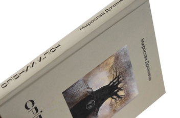 Бумажная книга «Срібний ключ», автор Мирослав Дочинец - фото №4 - миниатюра