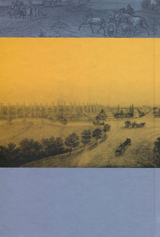 Бумажная книга «Життєвий світ причорноморських німців (1781-1871 рр.)», автор Дмитрий Мешков - фото №2 - миниатюра