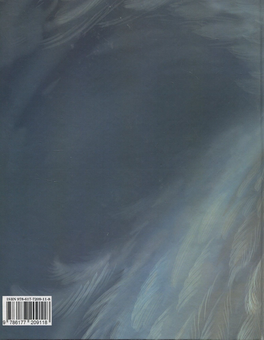 Бумажная книга «Пір'їнка птаха-мрії», автор Роман Росицкий - фото №2 - миниатюра