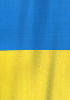 Бумажная книга «Історичні аспекти формування земельних відносин і землеустрою в Україні», авторов А. Мартин, Т. Прядка - фото №2 - миниатюра