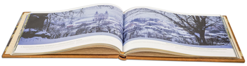 Бумажная книга «Ukraine Unique» - фото №14 - миниатюра