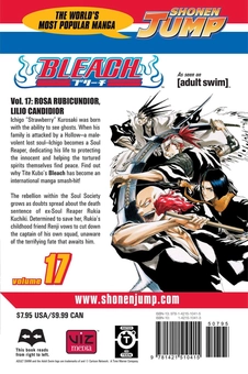 Паперова книга «Bleach. Volume 17», автор Тайто Кубо - фото №2 - мініатюра