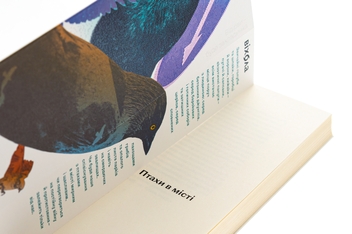 Бумажная книга «Птахи в місті. Життя та виживання в бетонних джунглях», автор Наталия Атамась - фото №4 - миниатюра
