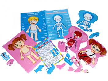 Бумажная книга «Комплект Будова тіла (книга + навчальні пазли)», автор Макс Пембертон - фото №5 - миниатюра
