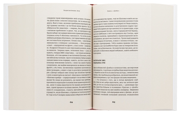 Паперова книга «Ноги», автор Владислав Івченко - фото №5 - мініатюра