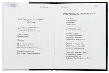 Бумажная книга «На кордоні», автор Валя Гайстер - фото №5 - миниатюра