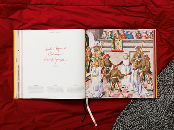 Бумажная книга «Freydal. Medieval Games. The Book of Tournaments of Emperor Maximilian I», автор Стефан Краузе - фото №13 - миниатюра