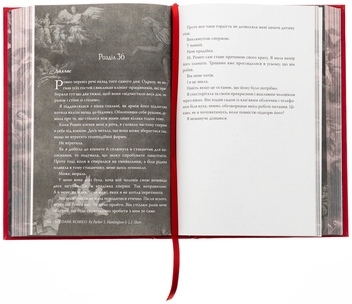 Паперова книга «Мій темний Ромео», авторів Паркер С. Гантінгтон, Л. Дж. Шен - фото №9 - мініатюра