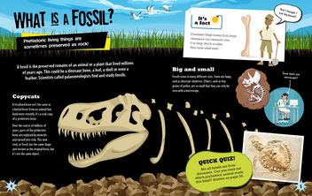 Бумажная книга «Geology Rocks! Fossils», автор Иззи  Хауэлл - фото №2 - миниатюра