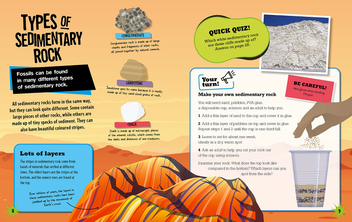 Бумажная книга «Geology Rocks! Fossils», автор Иззи  Хауэлл - фото №3 - миниатюра