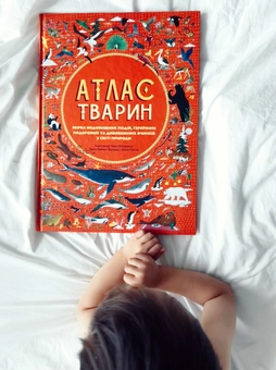 Паперова книга «Атлас тварин», авторів Емілі Хокінс, Рейчел Вільямс - фото №3 - мініатюра